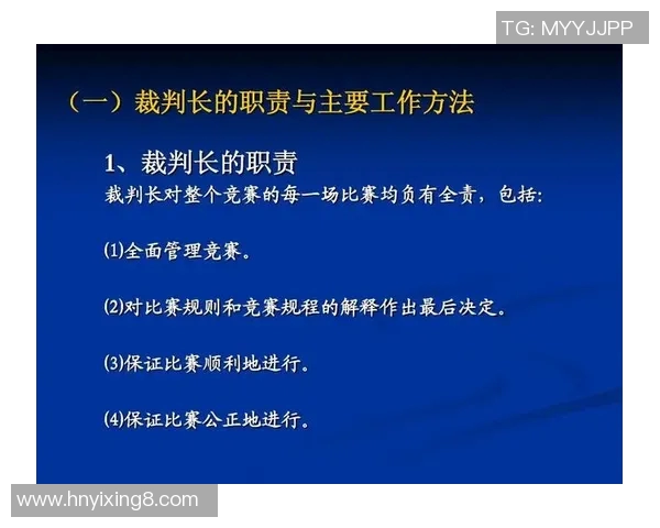 羽毛球赛事裁判判罚标准的合理性与公平性探讨分析 羽毛球赛事裁判判罚标准的合理性与公平性探讨分析